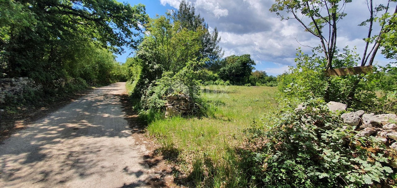 Terreno Juršići, Svetvinčenat, 20.132m2