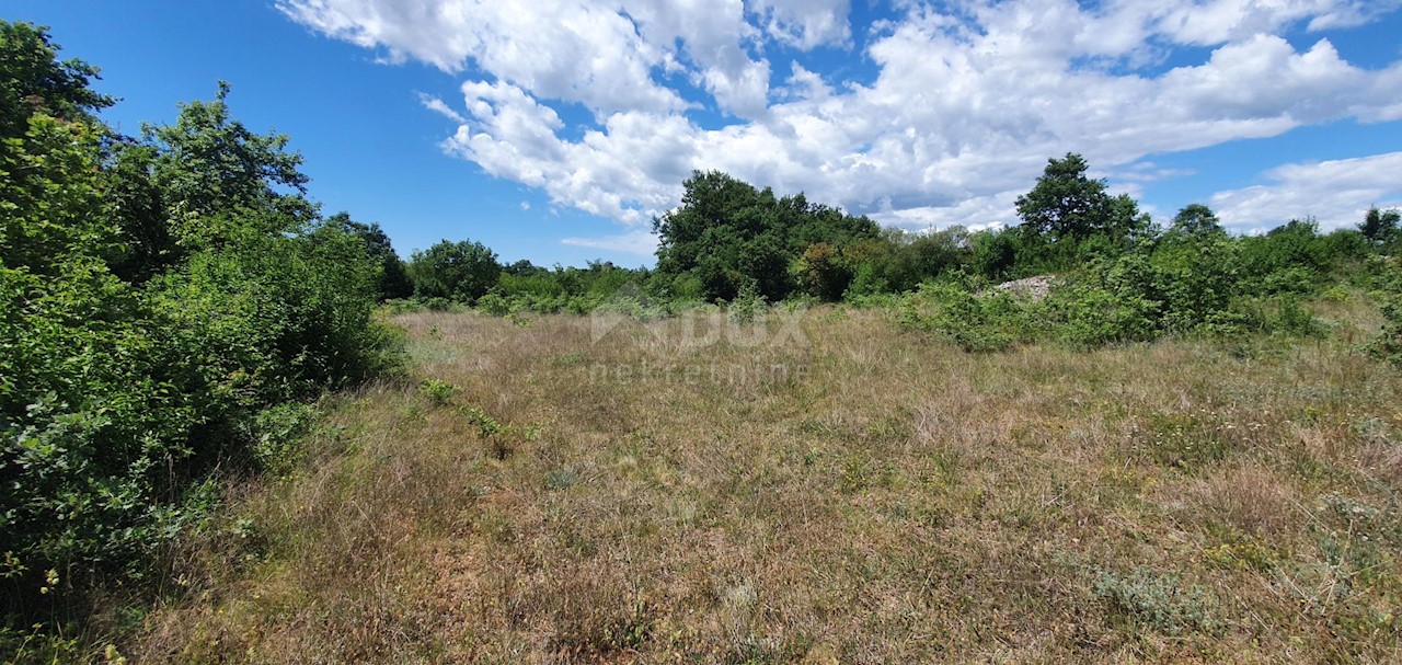 Terreno Juršići, Svetvinčenat, 20.132m2