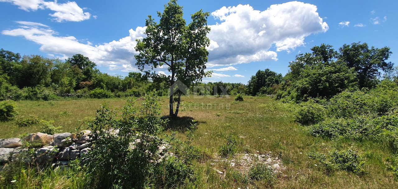 Terreno Juršići, Svetvinčenat, 20.132m2