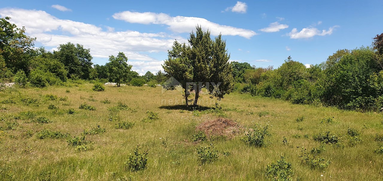 Terreno Juršići, Svetvinčenat, 20.132m2