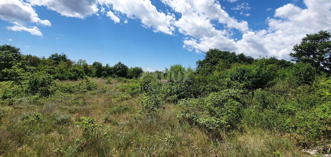 Terreno Juršići, Svetvinčenat, 20.132m2