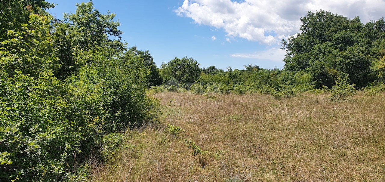 Terreno Juršići, Svetvinčenat, 20.132m2