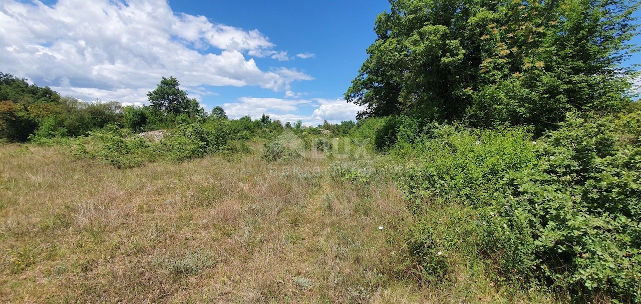 Terreno Juršići, Svetvinčenat, 20.132m2