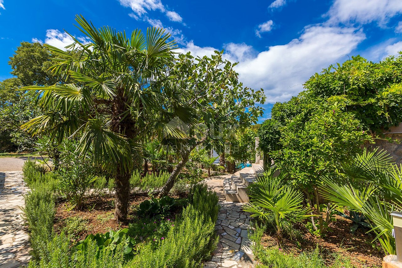 ISOLA DI KRK - posizione tranquilla - casa con 5 appartamenti, piscina, bellissimo giardino e vista mare