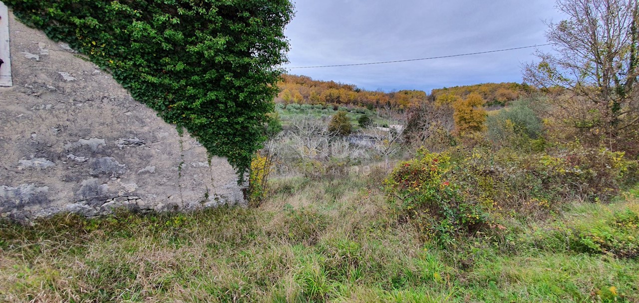 Terreno Grožnjan, 114.440m2