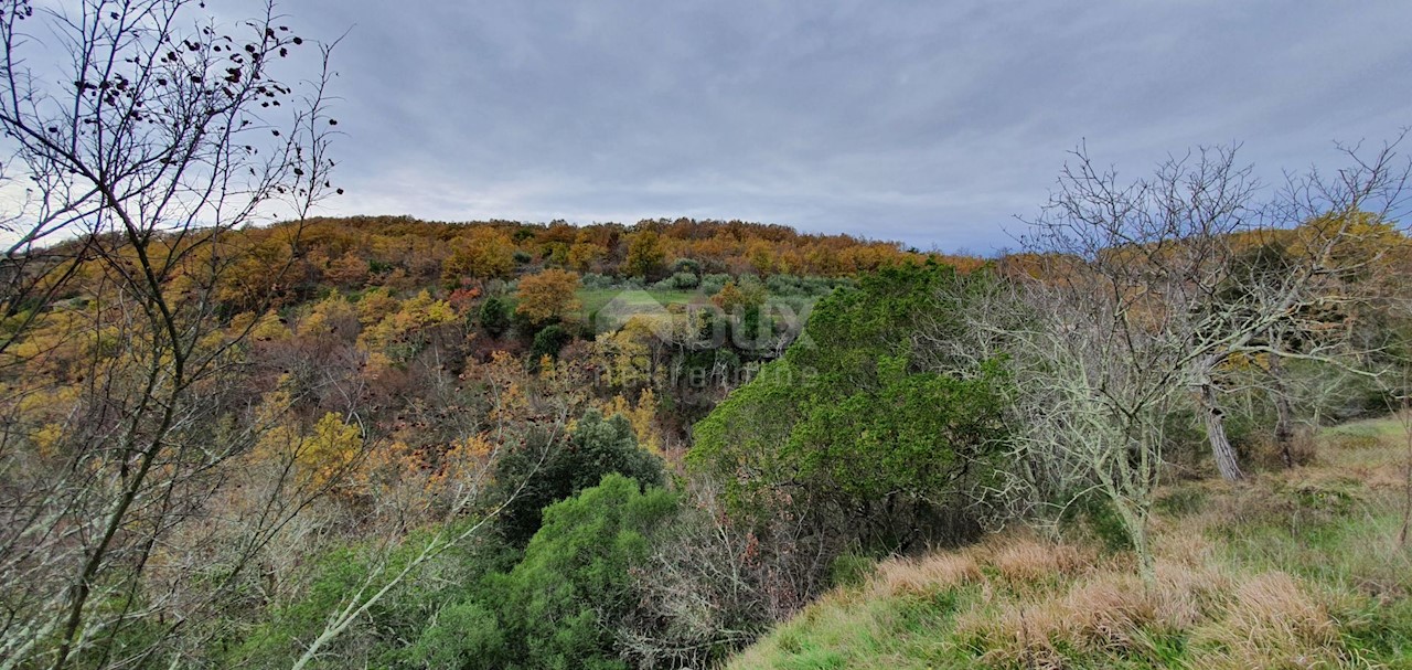 Terreno Grožnjan, 114.440m2