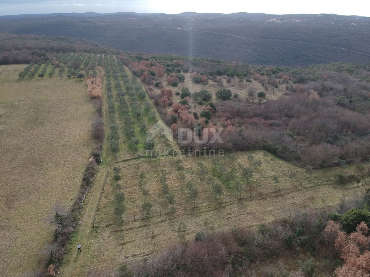 Terreno Jural, Kanfanar, 18.771m2