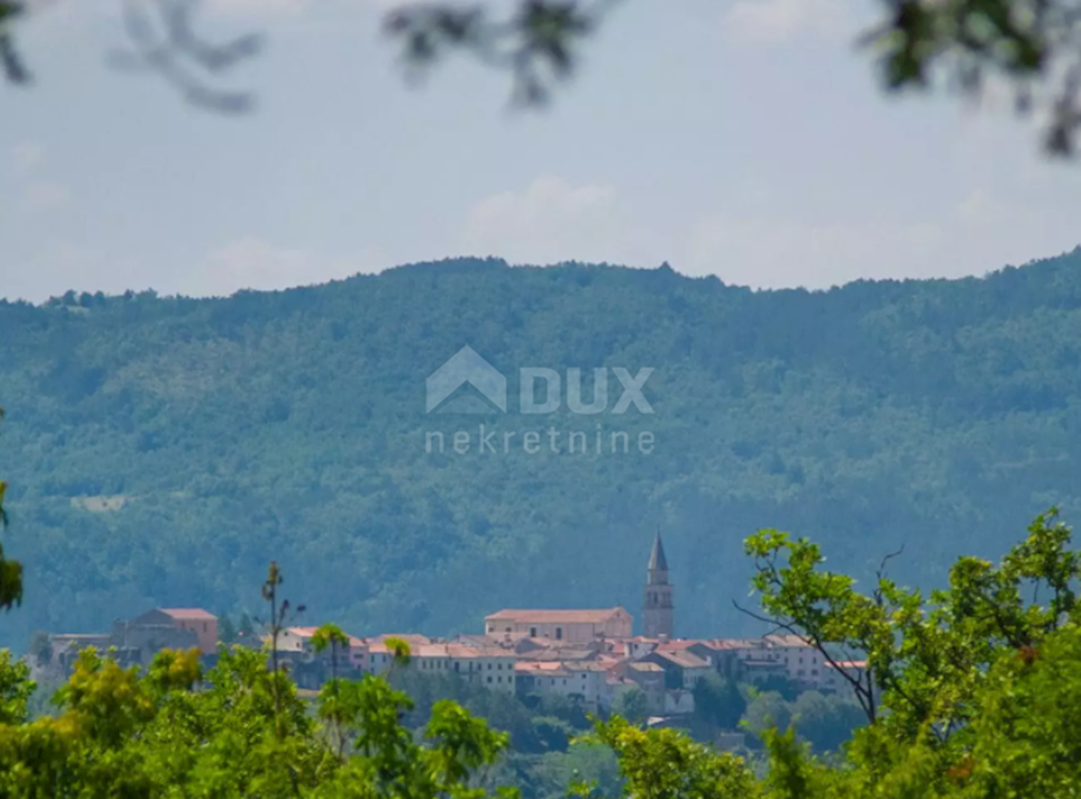 ISTRIA, BUZET - Villa dal design moderno con piscina su ampio giardino