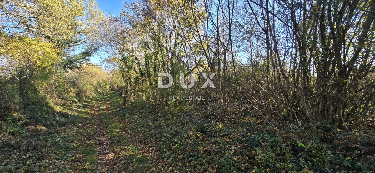 Terreno Kršan, 35.000m2