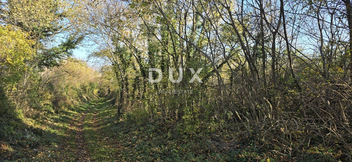 Terreno Kršan, 35.000m2