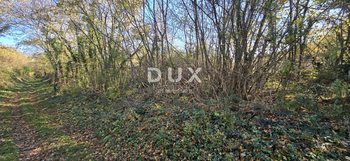 Terreno Kršan, 35.000m2