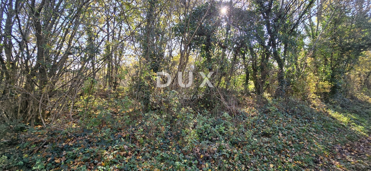 Terreno Kršan, 35.000m2