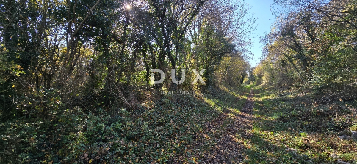 Terreno Kršan, 35.000m2