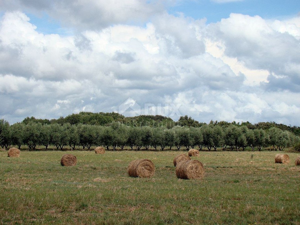 Terreno Centar, Pula, 16.000m2