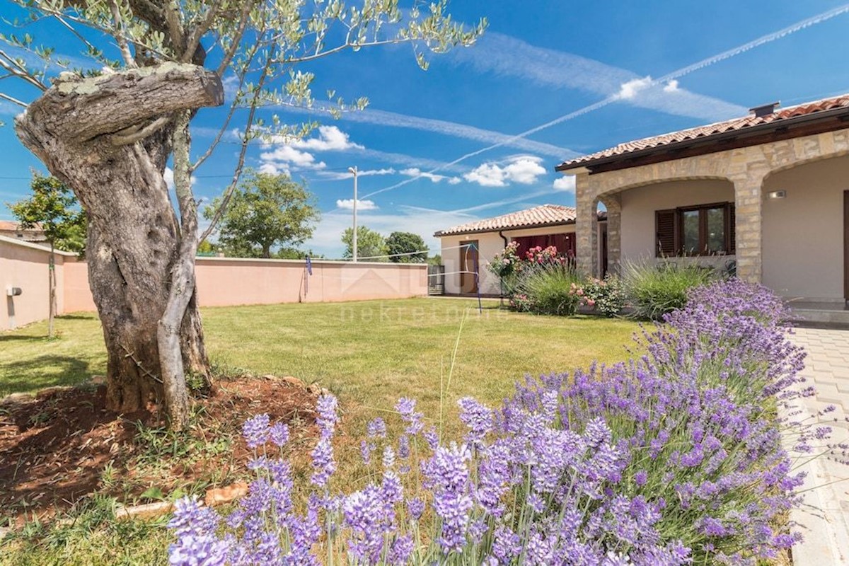 ISTRIA, SVETVINČENAT - Spaziosa casa vacanze con piscina