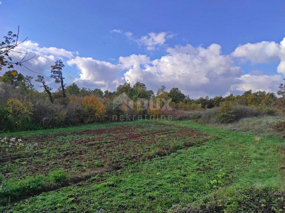 Terreno Svetvinčenat, 8.508m2