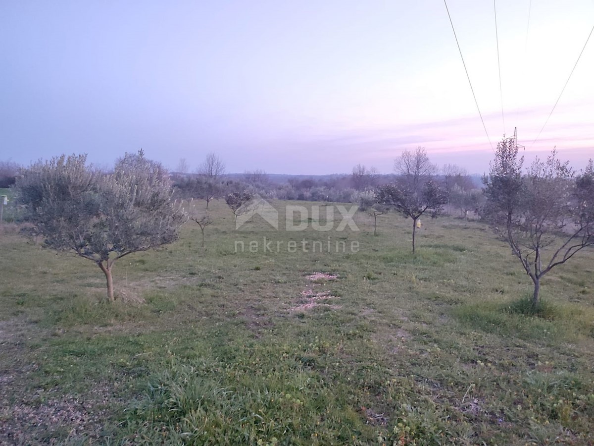 ISTRIA, BRTONIGLA - Bella casa in pietra con piscina, taverna e ampio giardino