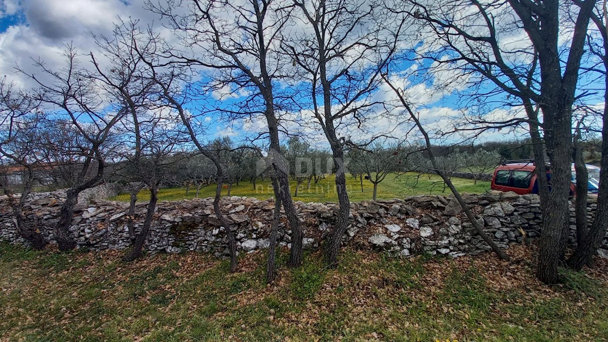 Terreno Cokuni, Marčana, 3.352m2