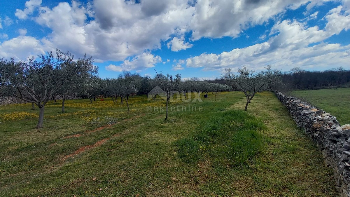 Terreno Cokuni, Marčana, 3.352m2