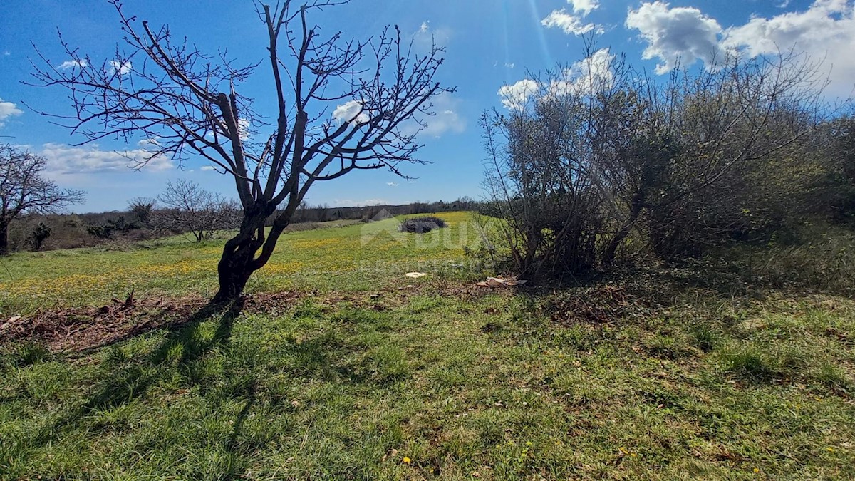 Terreno Cokuni, Marčana, 6.973m2