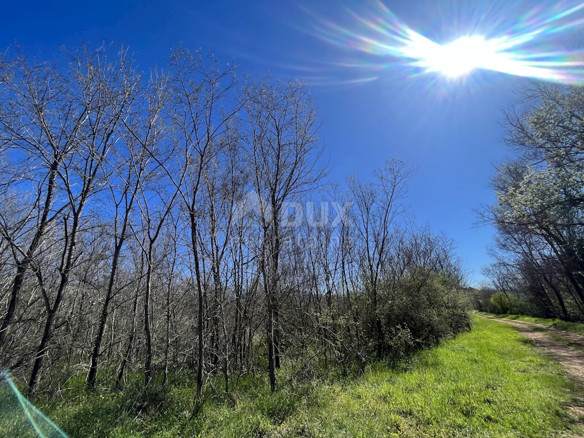 Terreno Labinci, Kaštelir-Labinci, 2.470m2