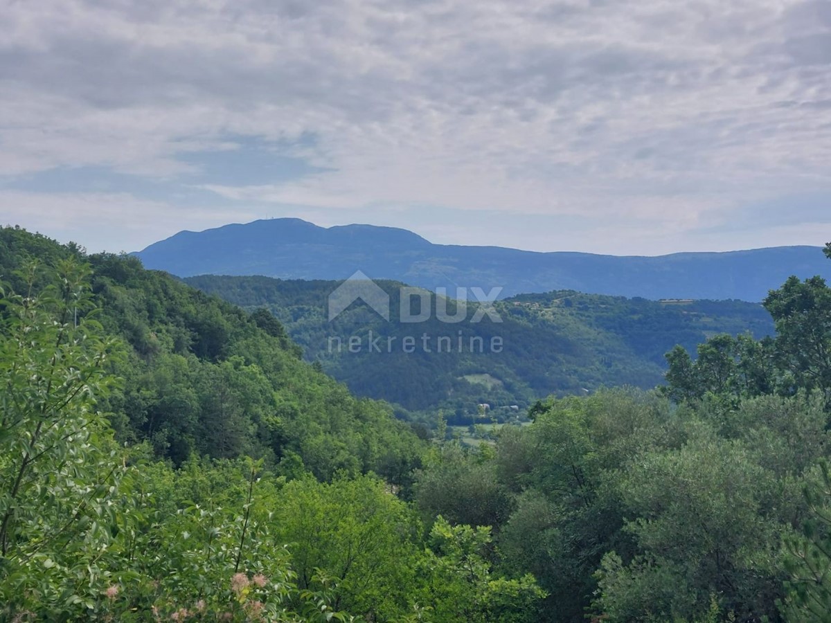 ISTRIA, GRAČIŠĆE - Una casa in pietra in completa solitudine con vista sul verde