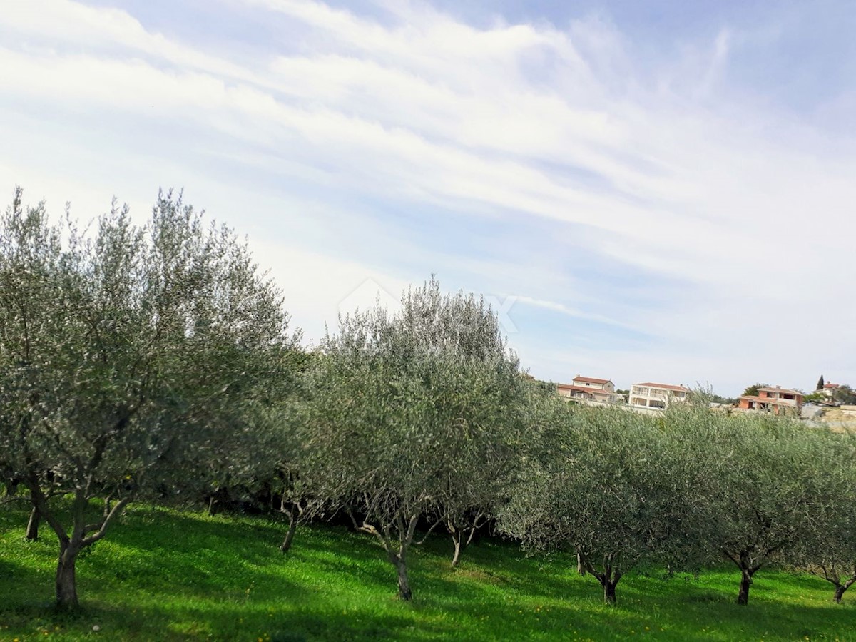 Terreno Vižinada, 1.700m2