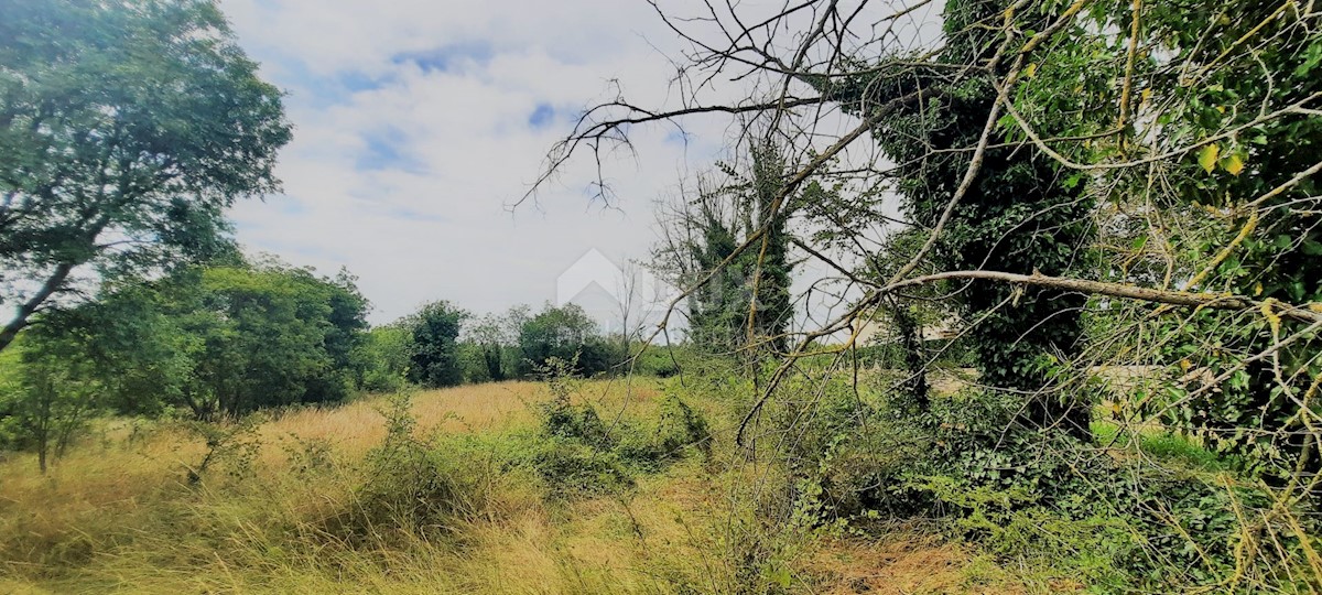 ISTRIA, POREČ, DINTORNI - Terreno edificabile 932m2 in un insediamento tranquillo