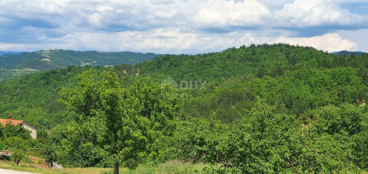 ISTRIA, PAZIN - Terreno edificabile 1576 m2 con vista lago