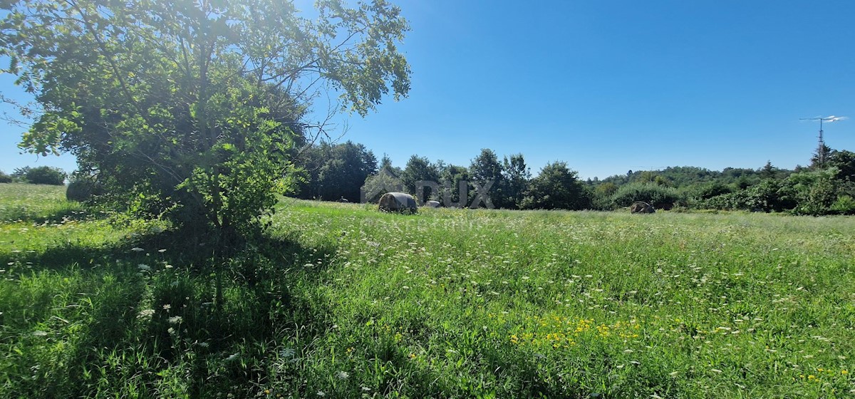 Terreno Lindar, Pazin - Okolica, 7.327m2