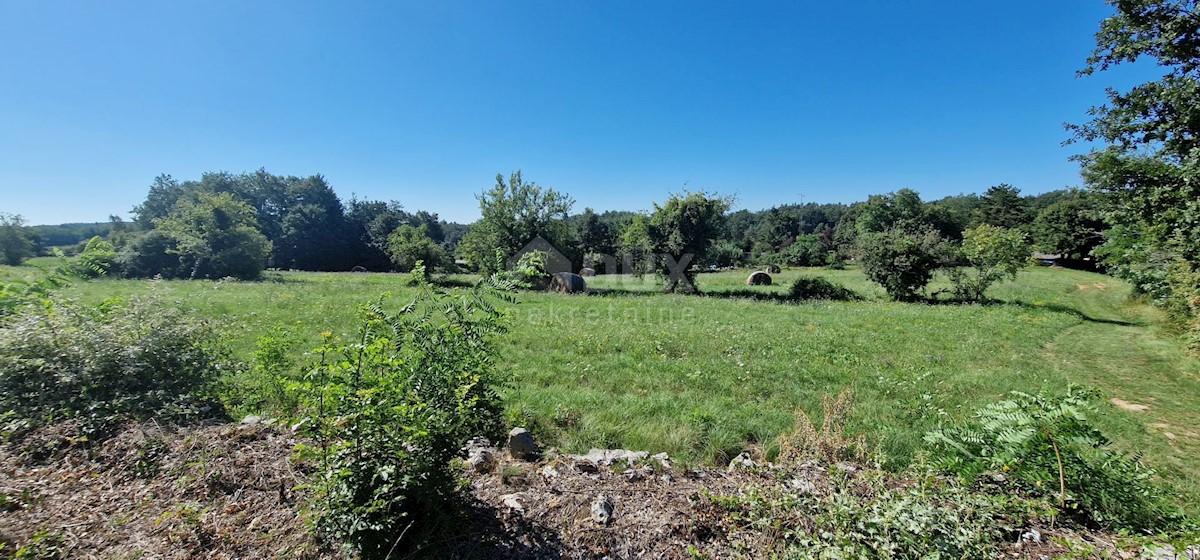 Terreno Lindar, Pazin - Okolica, 7.327m2