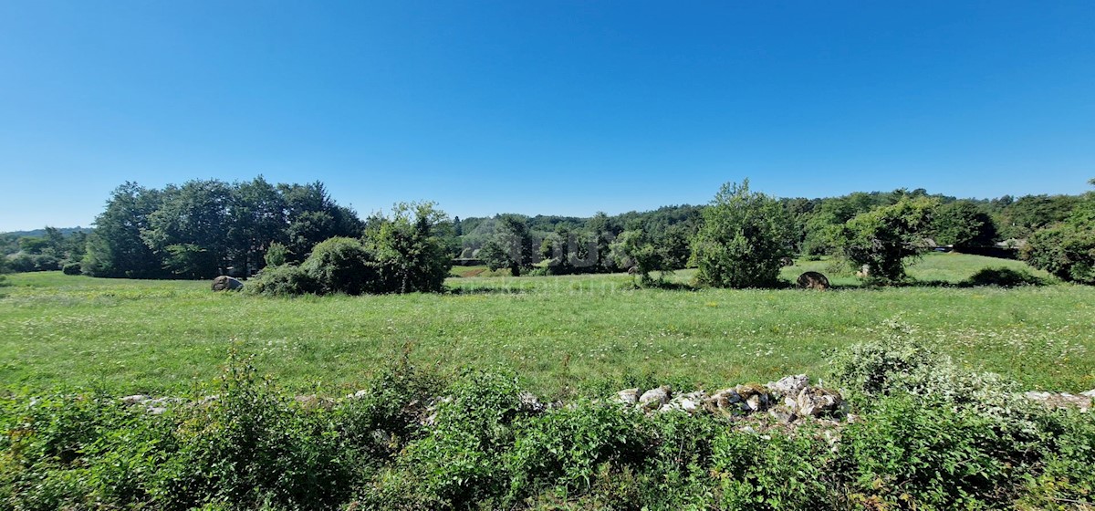 Terreno Lindar, Pazin - Okolica, 7.327m2