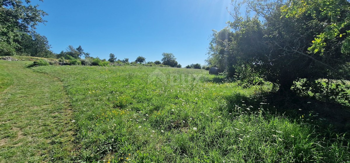 Terreno Lindar, Pazin - Okolica, 7.327m2