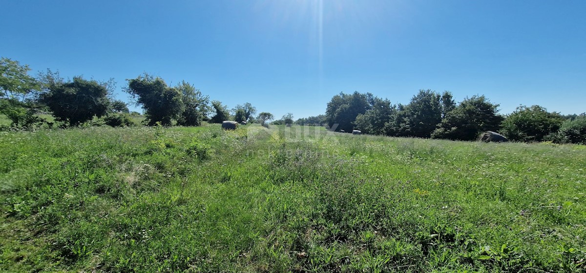 Terreno Lindar, Pazin - Okolica, 7.327m2