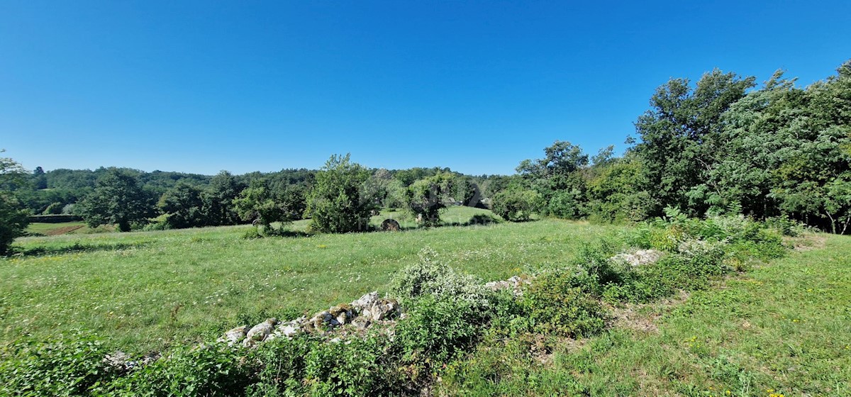 Terreno Lindar, Pazin - Okolica, 7.327m2
