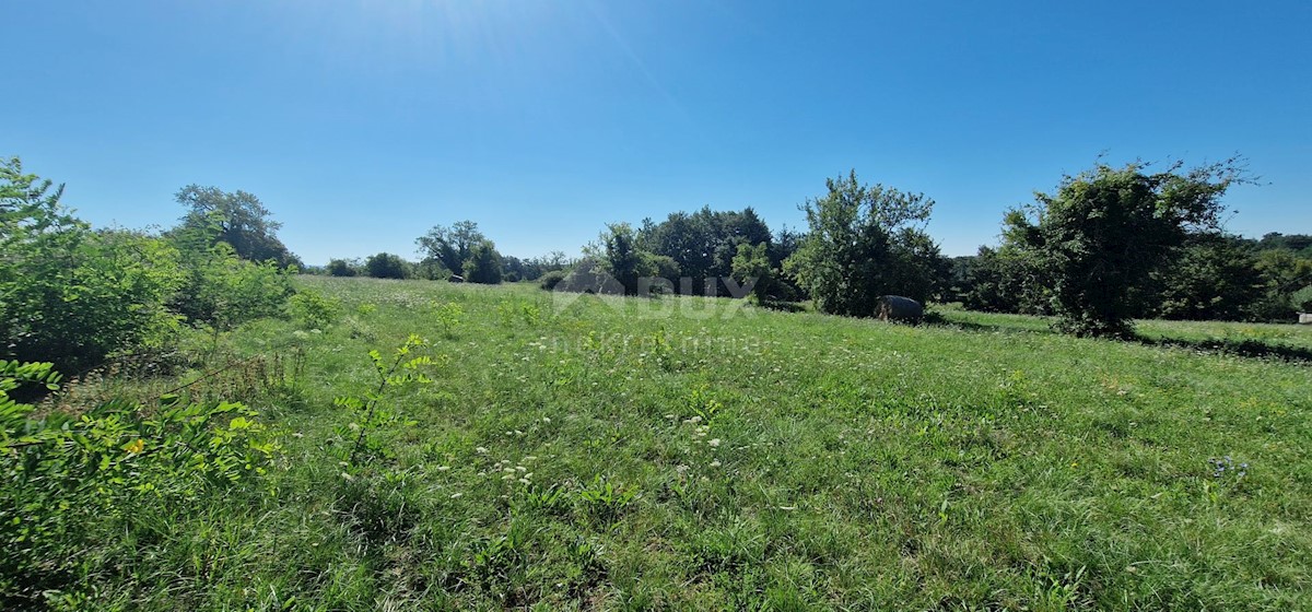 Terreno Lindar, Pazin - Okolica, 7.327m2