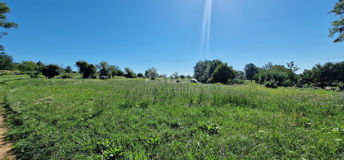 Terreno Lindar, Pazin - Okolica, 7.327m2