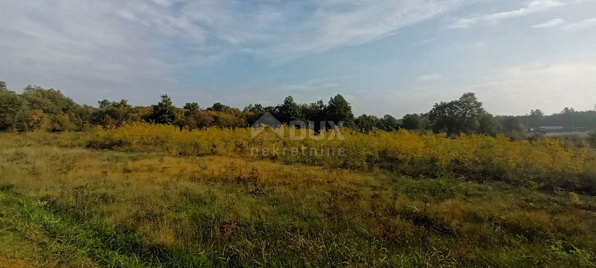 ISTRIA, TAR - Interessante terreno con destinazione ristorativa e turistica