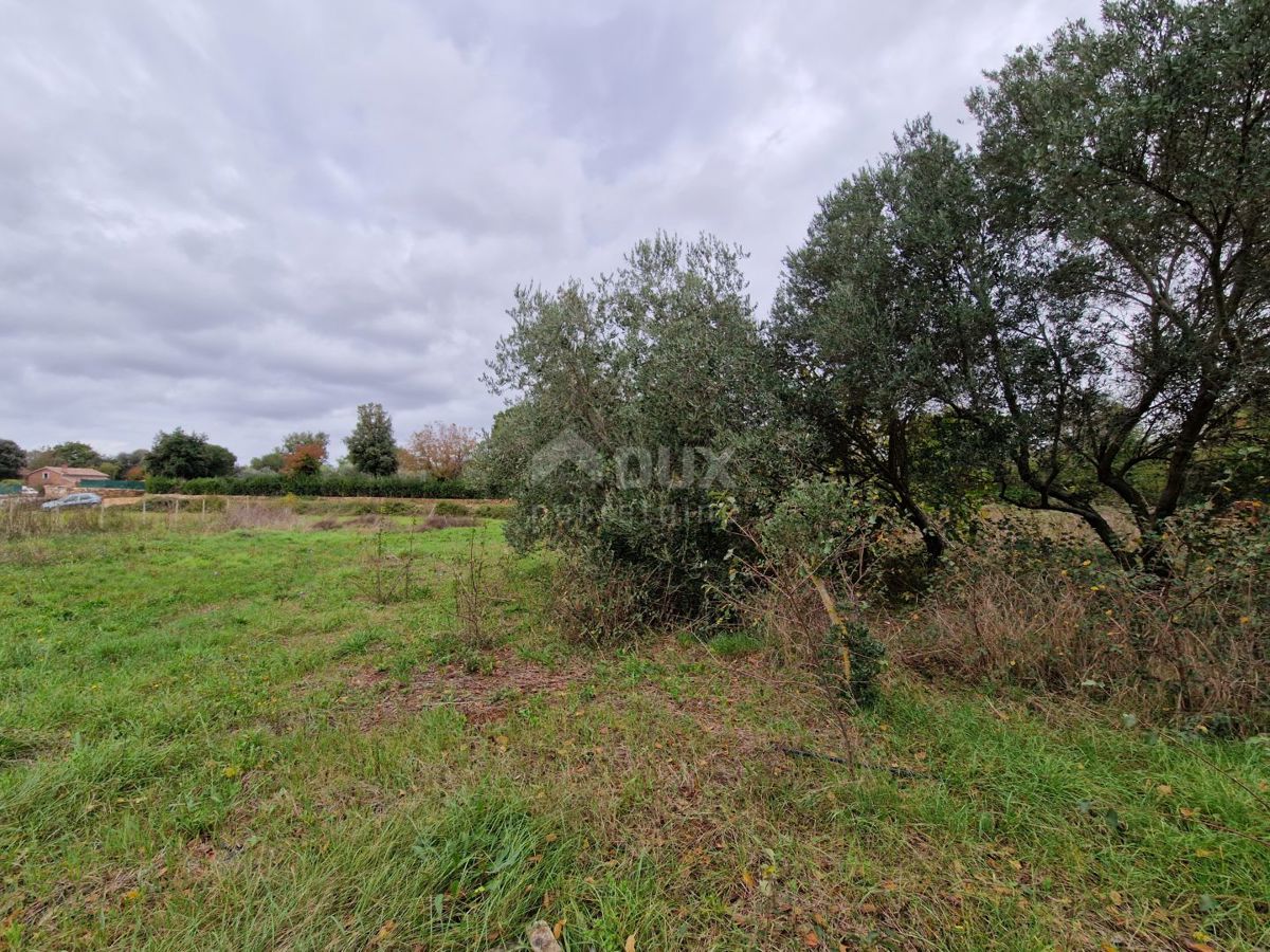 ISTRIA, ROVIGNO - Ampio terreno con due fabbricati