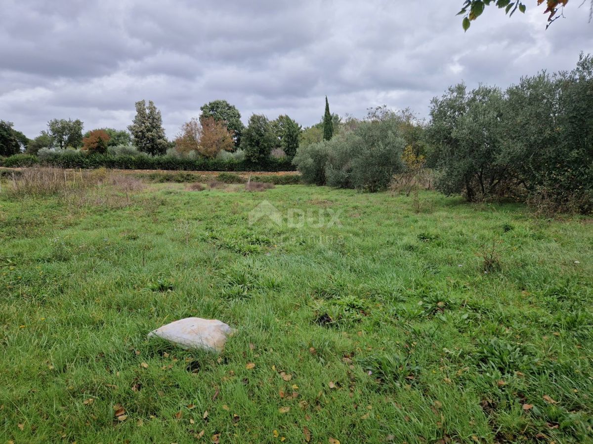 ISTRIA, ROVIGNO - Ampio terreno con due fabbricati