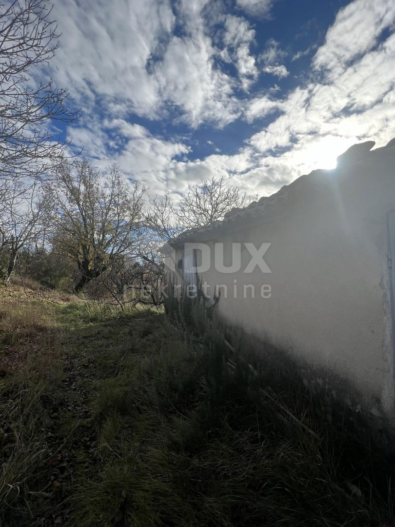 ISTRIA, BUZET - Due case con ampio terreno nella natura incontaminata