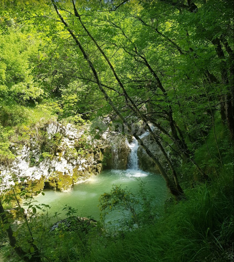 ISTRIA, BUZET - Due case con ampio terreno nella natura incontaminata