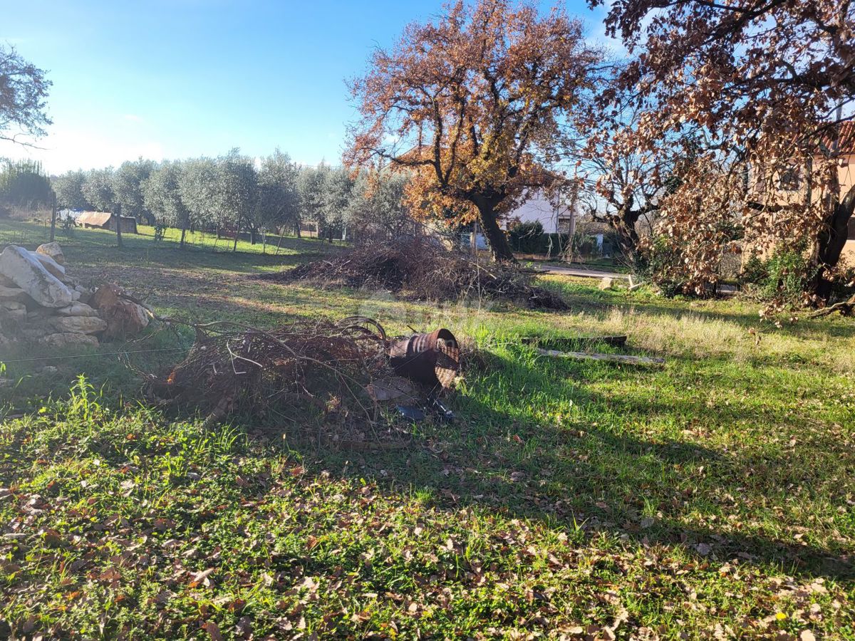 Terreno Valica, Umag, 4.286m2