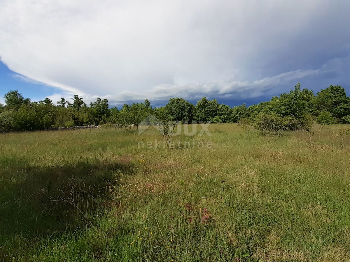 Terreno Režanci, Svetvinčenat, 27.000m2