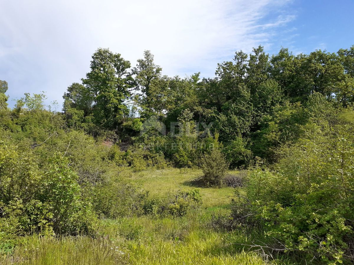 Terreno Režanci, Svetvinčenat, 27.000m2