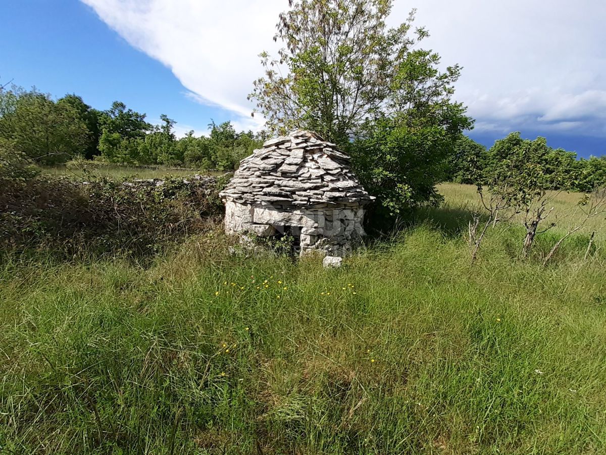 Terreno Režanci, Svetvinčenat, 27.000m2