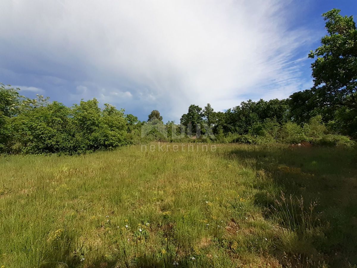 Terreno Režanci, Svetvinčenat, 27.000m2