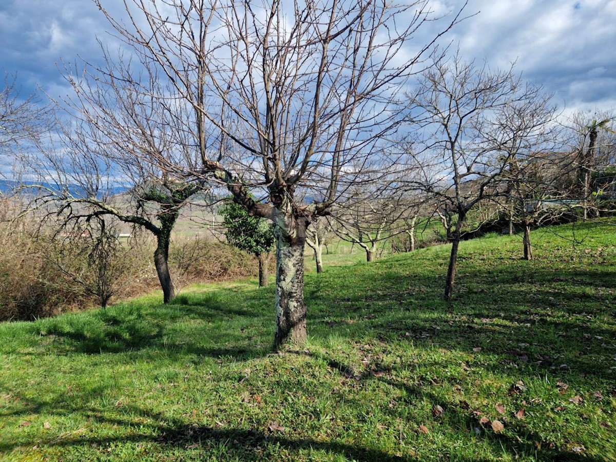 ISTRIA, MOTOVUN - Terreno con vista impressionante