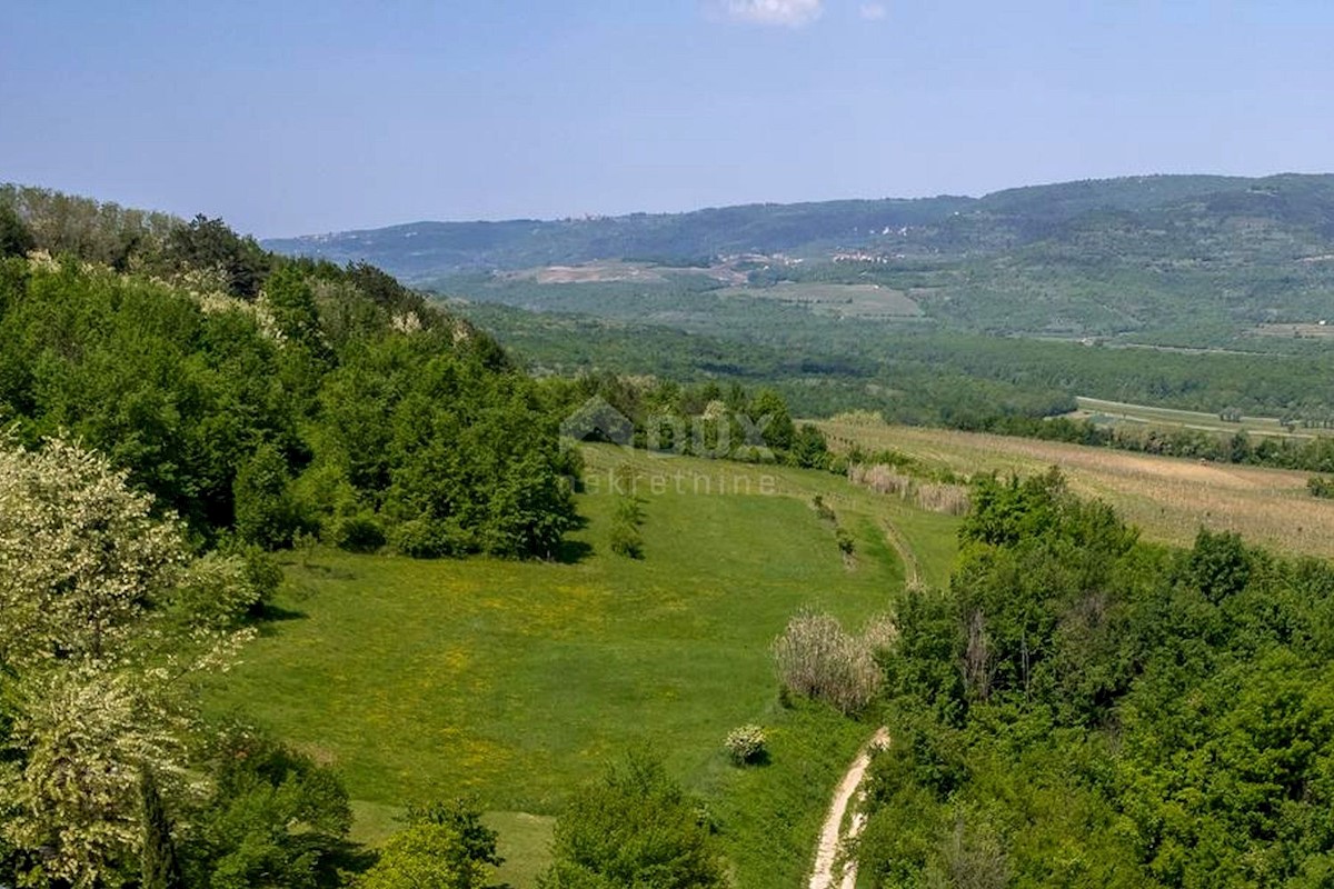 ISTRIA, MOTOVUN - Terreno con vista impressionante