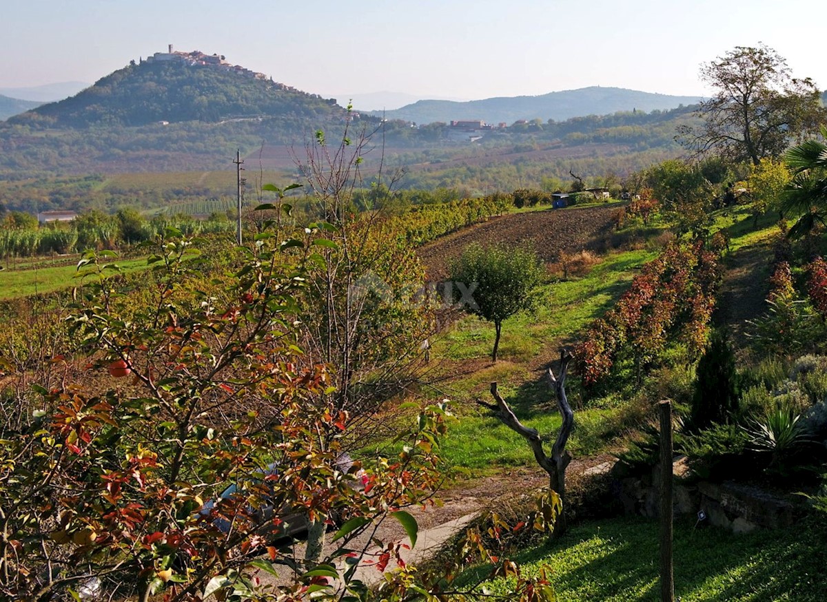 ISTRIA, MOTOVUN - Terreno con vista impressionante